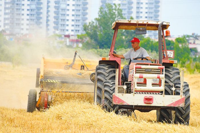 Tarsus Belediyesinden hayvan reticilerine saman destei