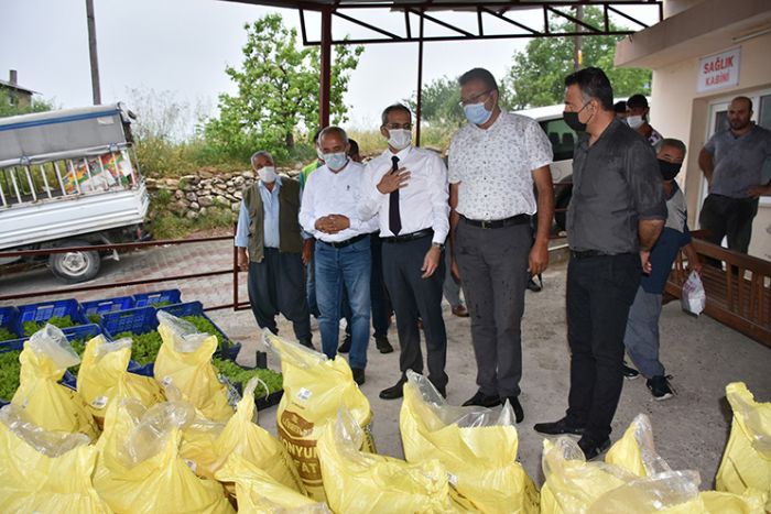 Tarsus Belediyesinden doludan zarar gren iftilere 7 ton gbre, 50 bin marul fidesi