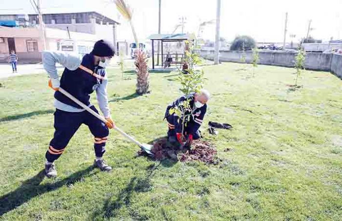 Akdenizde parklar ilkbahara hazrlanyor