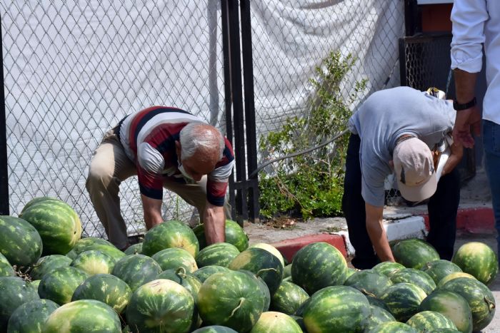 Tarsus Belediyesi, 15 ton karpuzu halka cretsiz datt