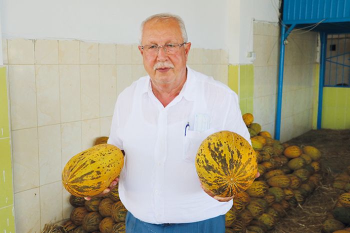 Adanada Kurban Bayram ncesinde sebze ve meyveye zam yok