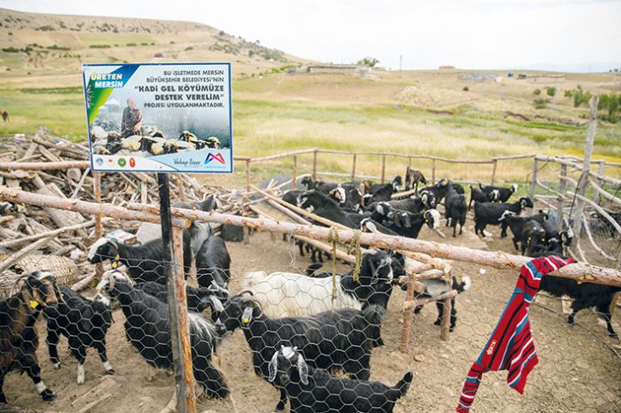 Bykehirin Haydi Gel Kymze Destek Verelim projesi yeni doumlarla bereketleniyor