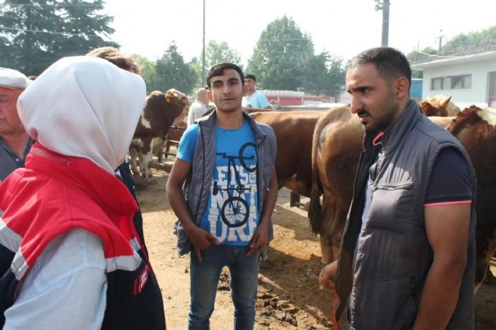 Bayram ncesi hayvan sat yerinde denetim