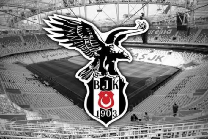 Beikta Fan Token (BJK)