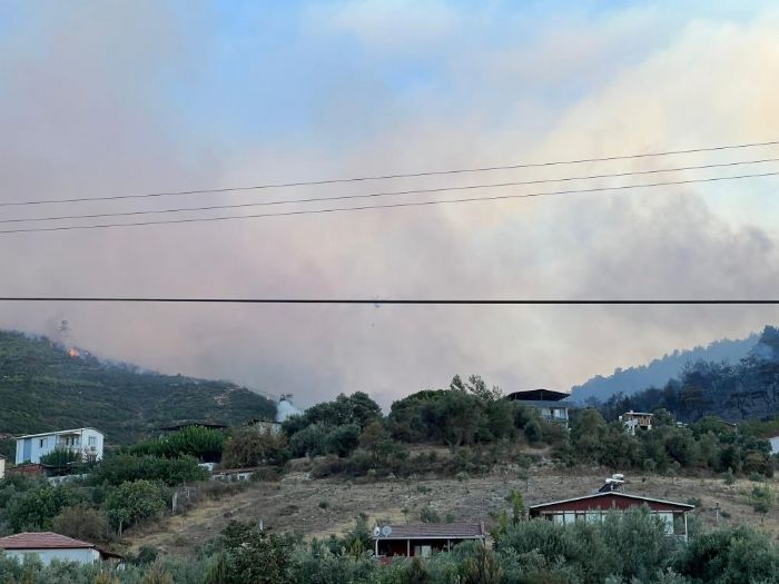 Manisa'daki orman yangn kontrol altna alnd