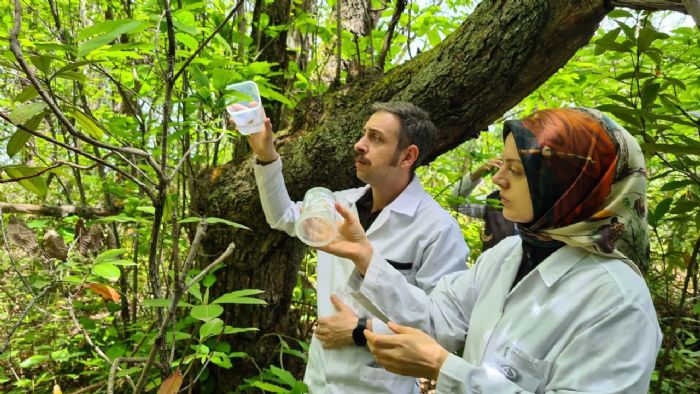 Zonguldak’ta ’katil ar’ alarm, laboratuvarda retilen bcekler doaya brakld