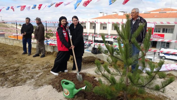 Dnya Ormanclk Gnnde 2 bin fidan dikildi