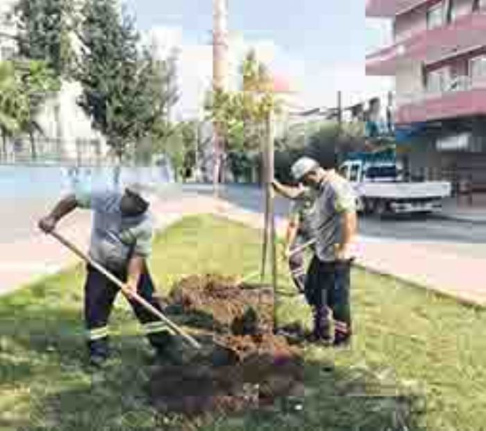 Akdenizde parklarn eksikleri gideriliyor