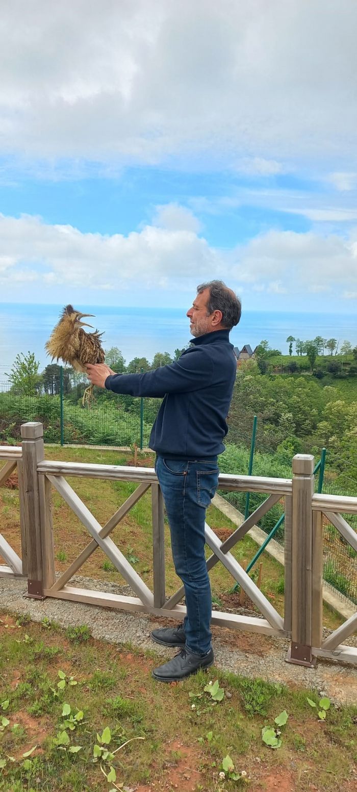 Nesli tkenmekte olan ’Balaban kuu’ Arhavi’de ortaya kt