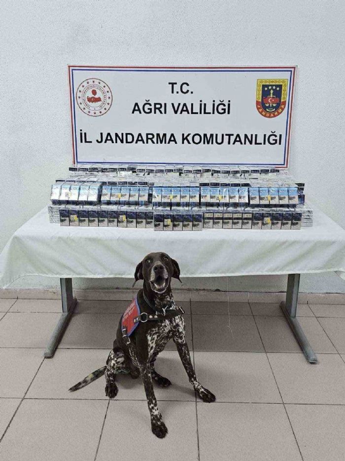 Arda binlerce paket kaak sigara ele geirildi