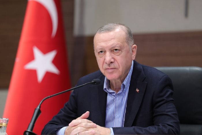 Cumhurbakan Erdoan, Katar Emiri eyh Temim bin Hammed Al Sani ile grt