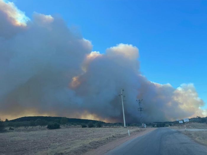 Manisa'da itfaiye ekiplerinin yangnla mcadelesi sryor