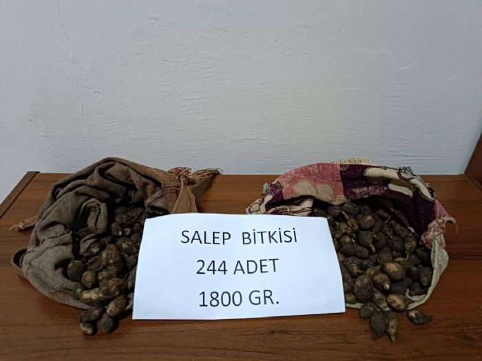 Salep soan toplayan 2 kiiye 220 bin lira ceza kesildi!