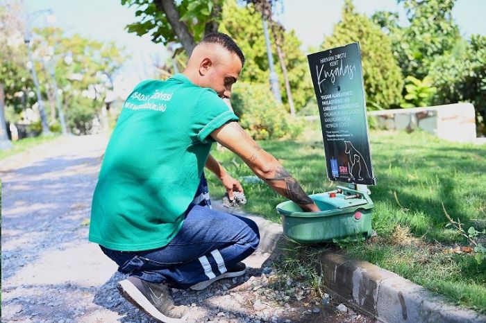 Kuadas Belediyesi mevsim normalleri zerinde seyreden scaklar nedeniyle sokak hayvanlar iin suluklarn saysn arttrd