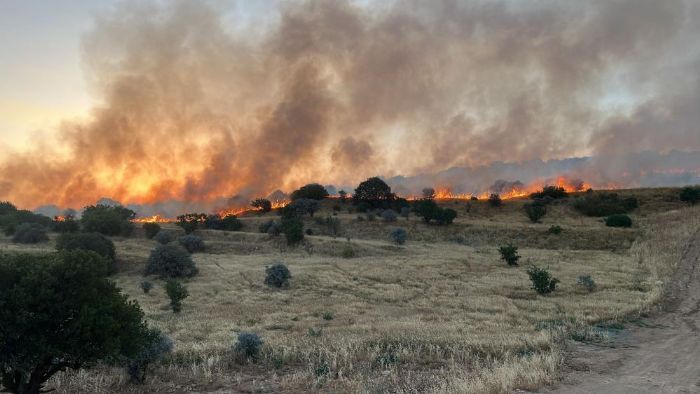 Mardin'de ormanlk alanda kan yangn sndrld