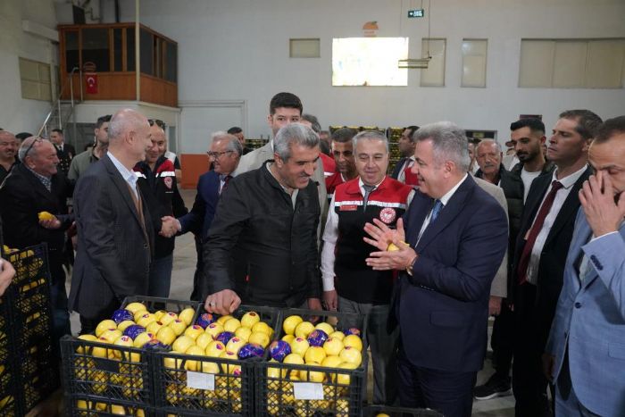 Satsuma mandalinas Balkanlar ve Avrupa yolunda