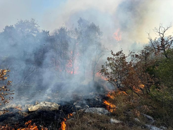 Bursa'da korkutan orman yangn