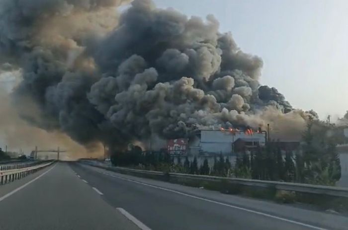 Sakaryada kereste fabrikas alev alev yand