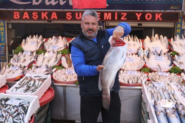 Gaziantep'te havalarn serinlemesiyle balk satlar artt