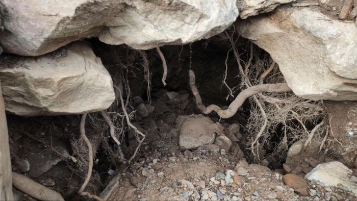 Hatay'da obruklardan kan madde halk meraklandrd