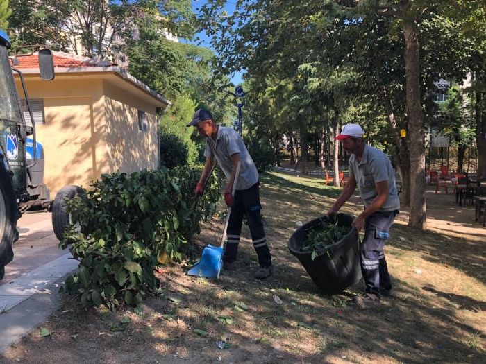 Yunusemre Belediyesinden Yenimahallede park bakm