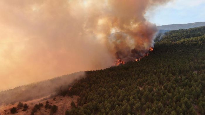 Ilgaz Da'nda gkyzne ykselen alevler havadan grntlendi