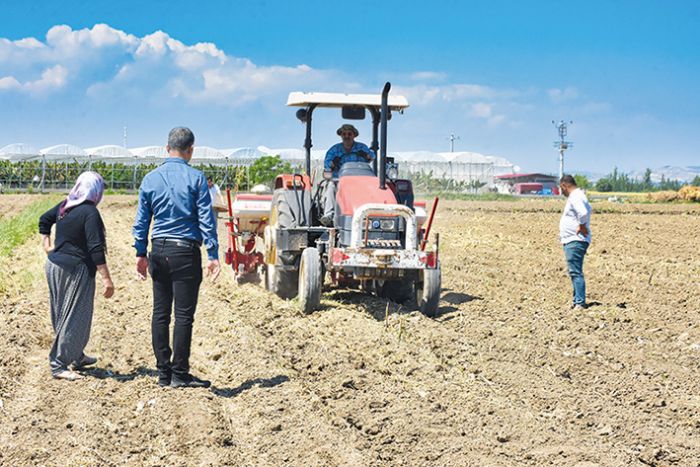 Tarsus Belediyesinin soya faslyesi ekimi devam ediyor