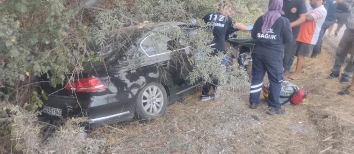 Konya'da otomobil yol kenarndaki aalara arpt