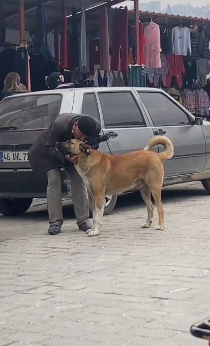 Yal vatandan sokak kpekleri ile diyalou ilgi ekti