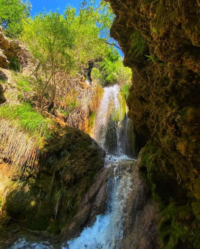 Doa tutkunlarnn yeni urak yeri