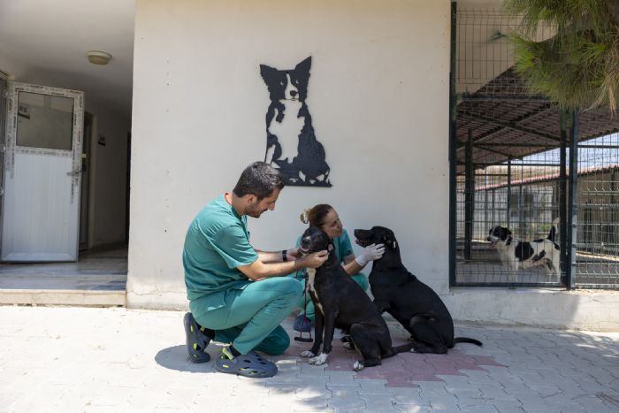 Rzgar ve zeytin, lmcl genlik hastalndan kurtuldu