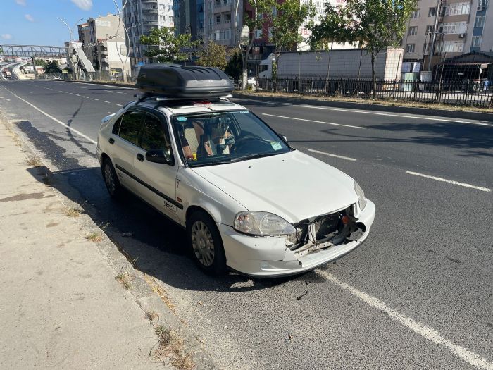 Anayola atlayan kpek kazaya sebep oldu