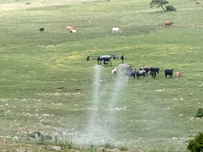 Bykehirden ekirgeye kar dron ile mcadele