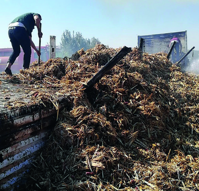 Anz atei seyir halindeki tra srad, onlarca saman balyas kl oldu