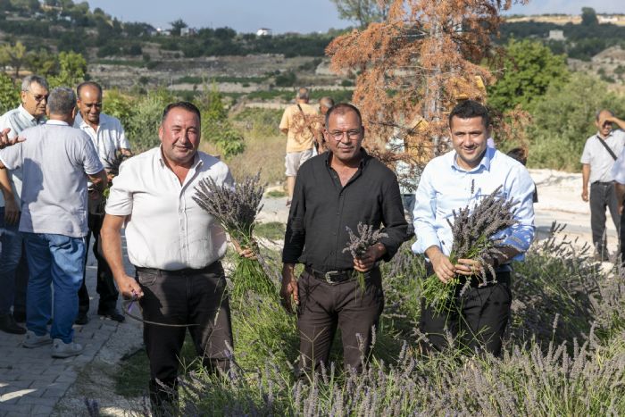 Silifke’de lavanta hasad enlii dzenlendi