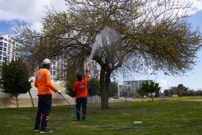 Mersin’de haere ile mcadale almalar hz kazand