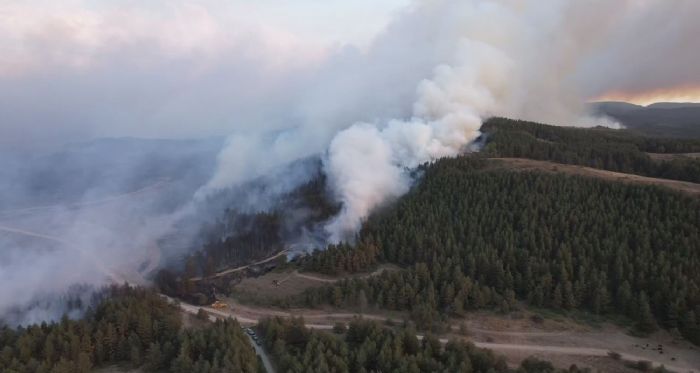 AFAD'dan Gerede'deki yangna ilikin aklama