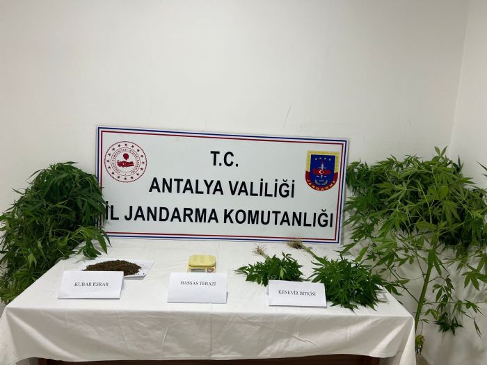 Jandarma uyuturucu tacirlerine gz atrmyor