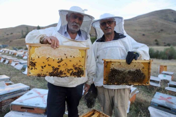 Arcla hobi olarak balayan emekli polis memuru ve abisi 7 ton bal retti