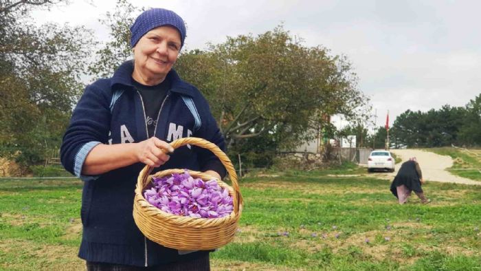 Serin hava dnyann en pahal baharatnda ieklenmeyi artrd