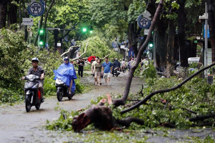 Vietnamda Yagi Tayfununda kpr kt