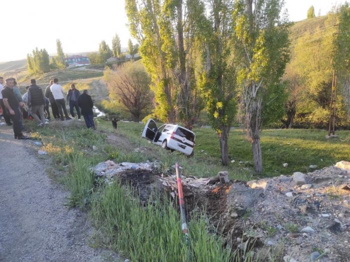 Arda yola kan inek kazaya neden oldu: 6 yaral