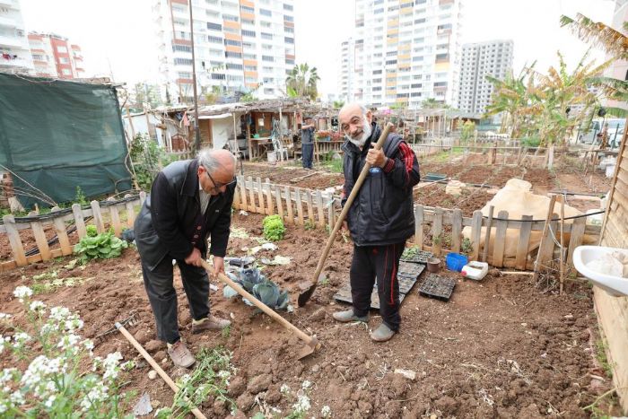 Mezitlililer 'Hobi Baheleri'ni tercih ediyor