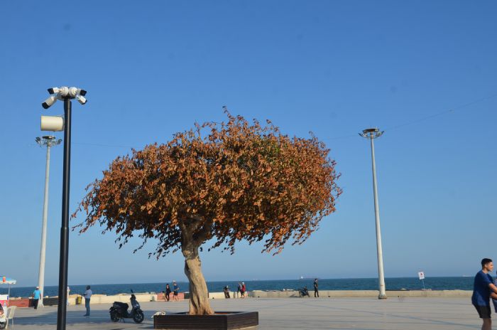 zgecan Meydan’ndaki aa Bykehir Meclisi’nde gndeme geldi