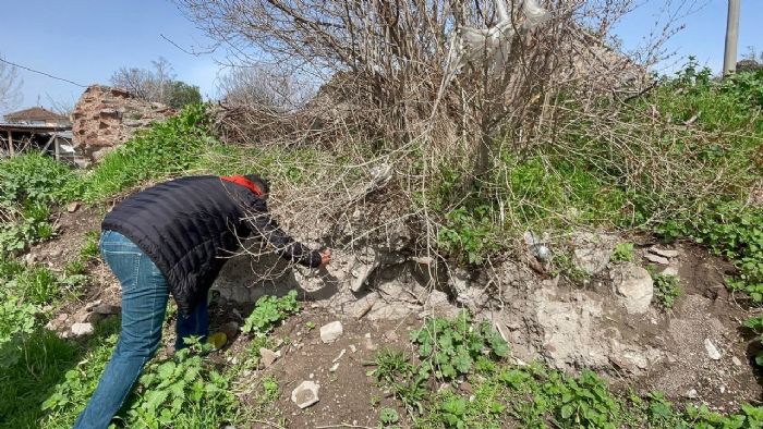 znikte Bizans dnemine ait mezar ve insan kemikleri bulundu