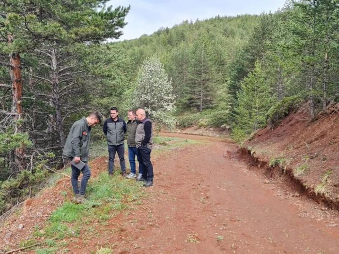 Erzurum Orman Blge Mdr Ayatay, Refahiye ormanlarnda incelemelerde bulundu