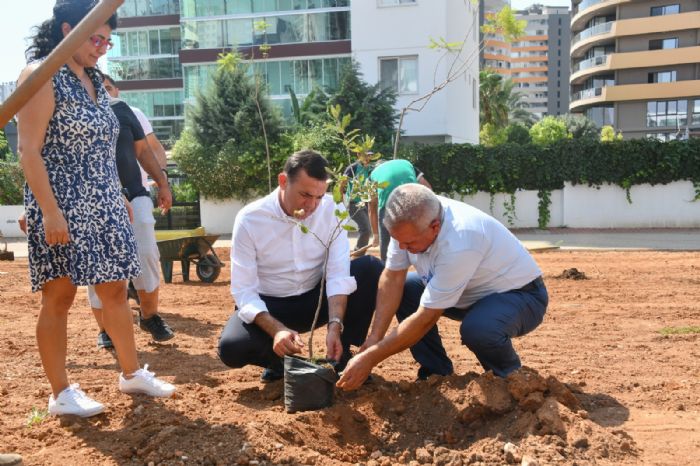 Bir metre asfalt yapyorsak onun yerine de be aa dikmeliyiz