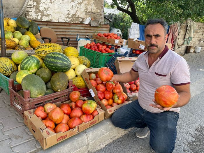 Hibir zirai ila kullanmyoruz