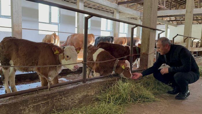 Ordu’da besiciler yeni ahr sistemini benimsedi